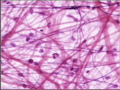 <p>What does this image show?</p>