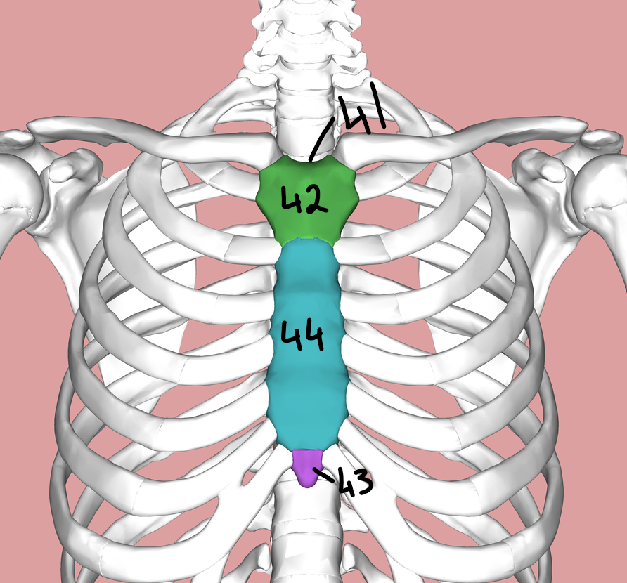 <p>what part of the diagram is forty one ?</p>