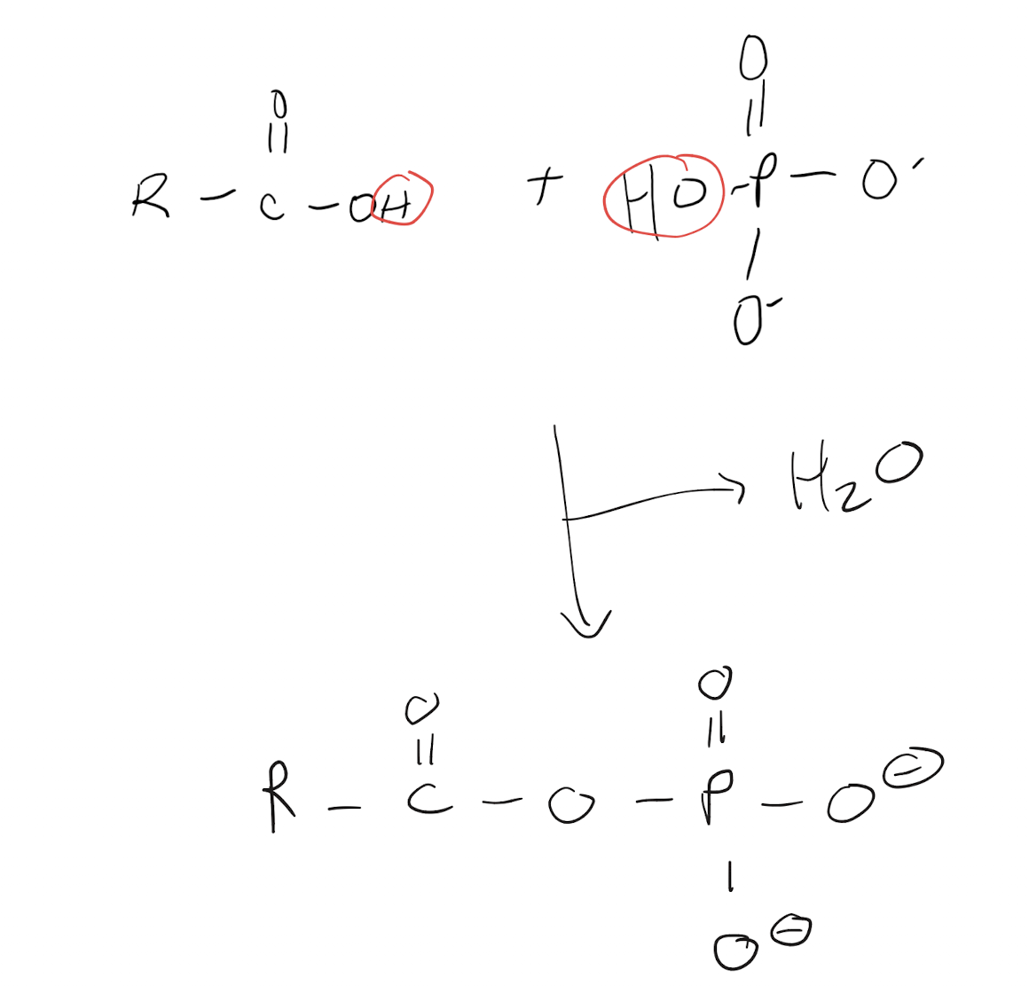 <p>A functional group composed of a phosphate attached to a carboxyl group, formed via the linkage of a phosphate and a carboxylic acid</p>