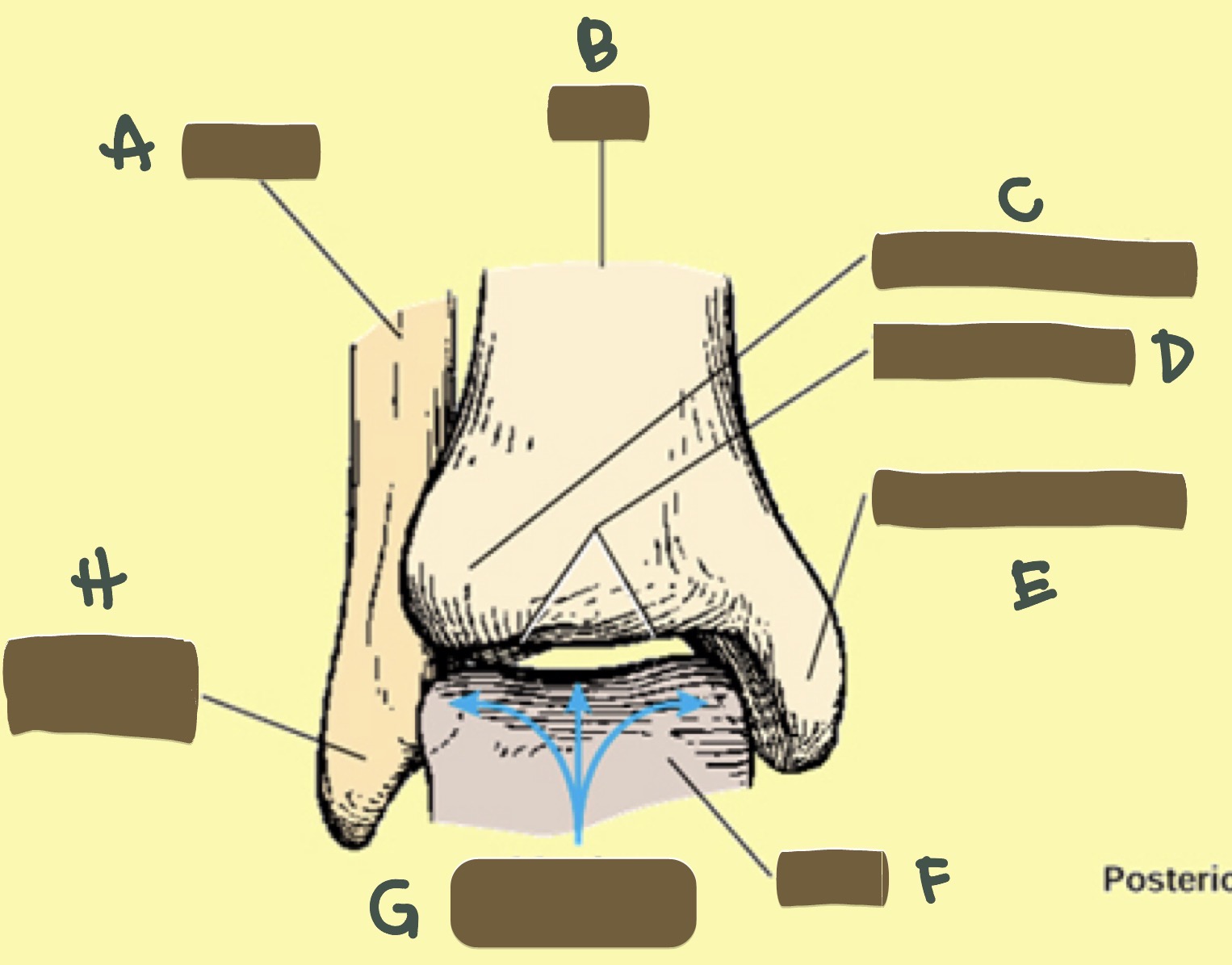 <p>E</p>