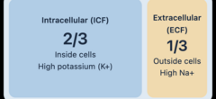 <p>water inside cells; about two-thirds of body water; high in potassium (K+) and some magnesium.</p>