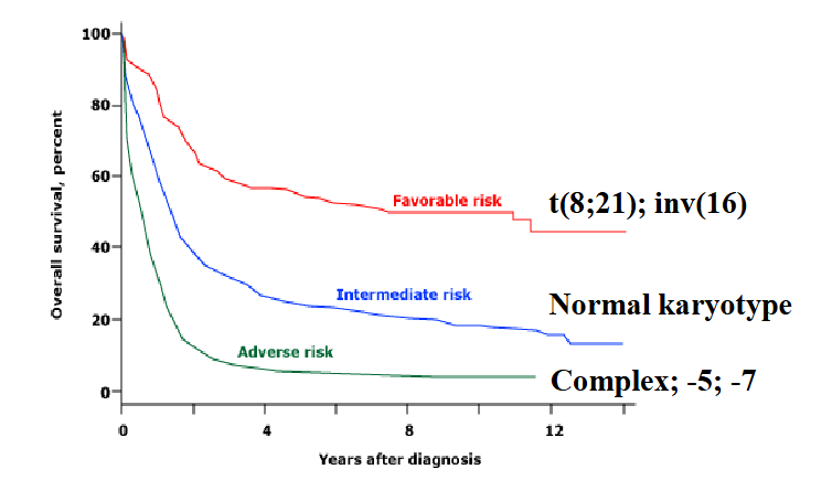 <p>Chromosomes in AML: prognosis</p>