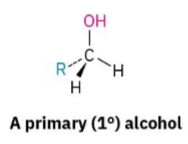 <p>The OH-bearing carbon is attached to <strong>one</strong> other carbon (or none, as in methanol).</p>