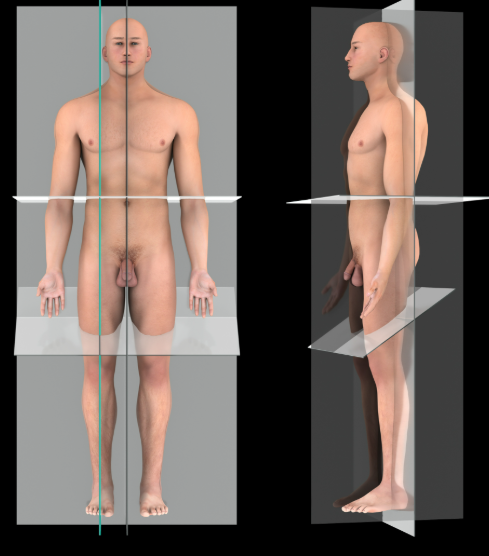 term image