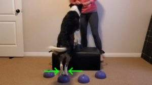 <p>Adduction</p>