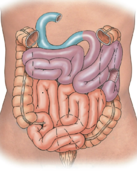 knowt flashcard image