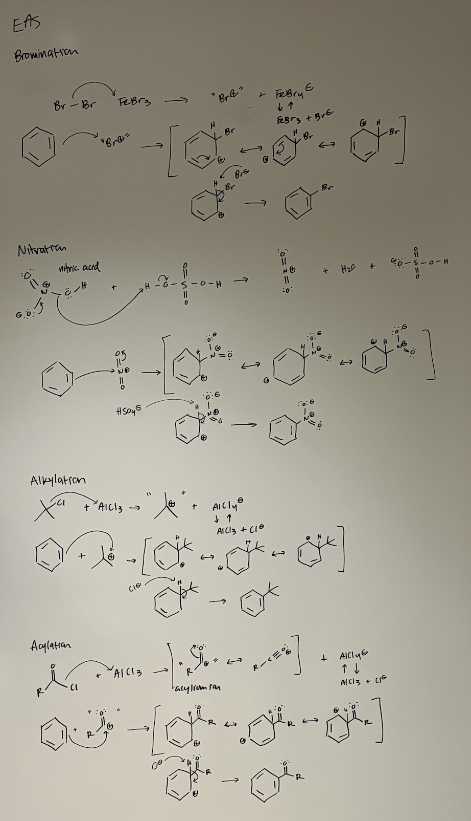<p>Bromination, nitration, alkylation, acylation</p>