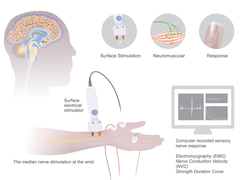 <p>Answer: B Using EMG to measure abnormal reflex contractions in lesioned spinal segments</p><p>Why?</p><p>Denslow's research used electromyography EMG to study neuromuscular dysfunction associated with osteopathic lesions.</p>