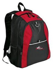 <p>a backpack</p>