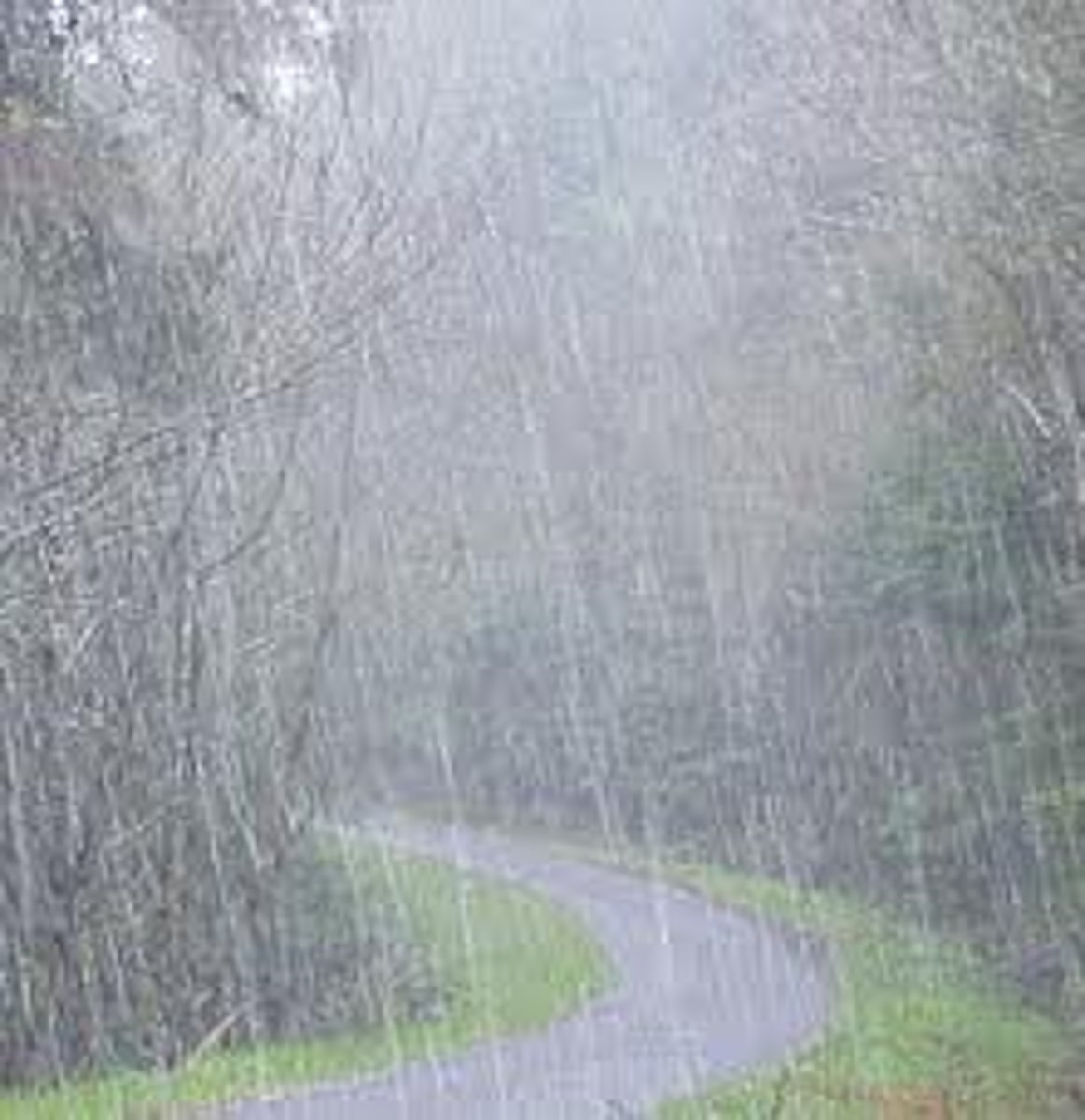 <p>mưa to</p><p>"It ....ed ....... All day yesterday but it's dry at the moment"</p>
