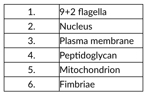 <p>In Table 10.1, which features are found in nearly all eukarya?</p><ul><li><p>3, 5</p></li><li><p>2, 3</p></li><li><p>1, 2, 5</p></li><li><p>1, 4, 6</p></li><li><p>2, 3, 5</p></li></ul><p></p>
