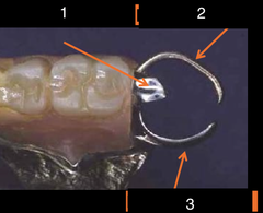 <p>What is 3?</p>