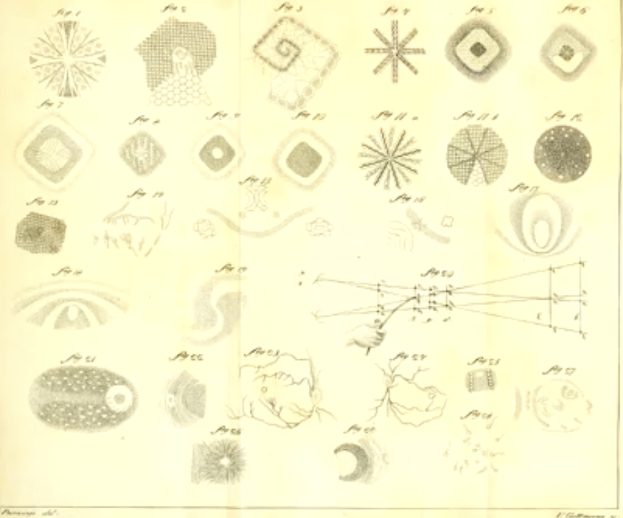 <p>Who studied flicker effects in the nineteenth century?</p>