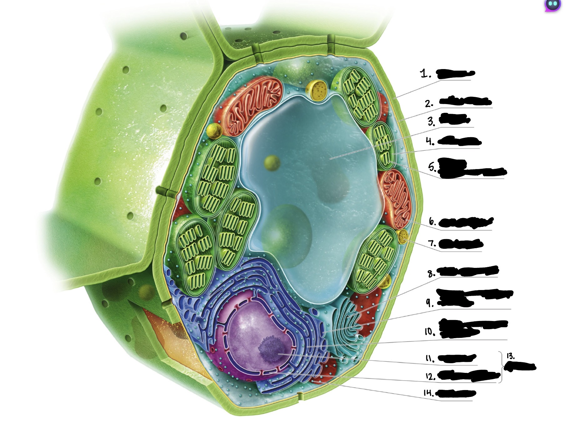 <p>6</p>