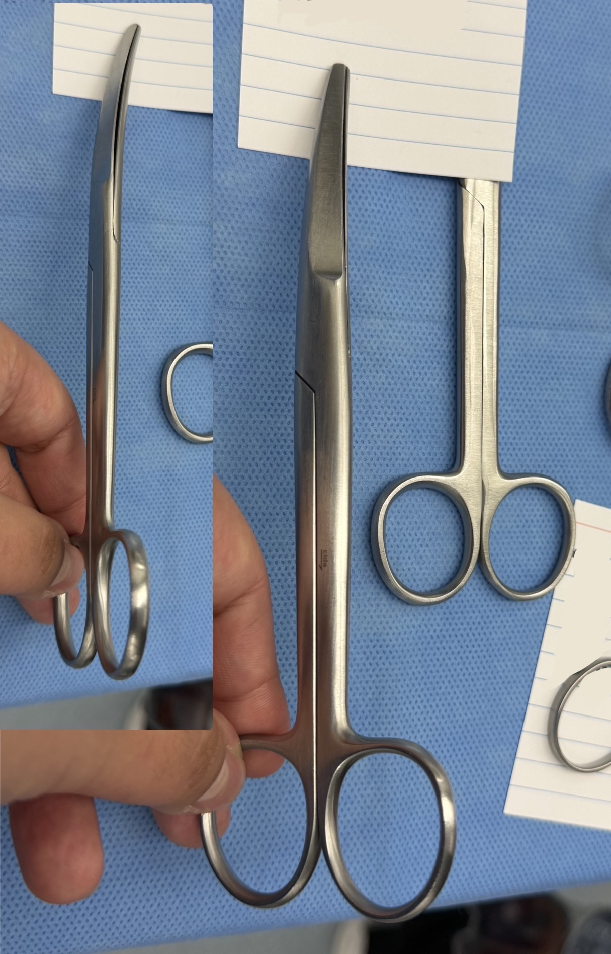 <p>What is the name of these scissors</p>