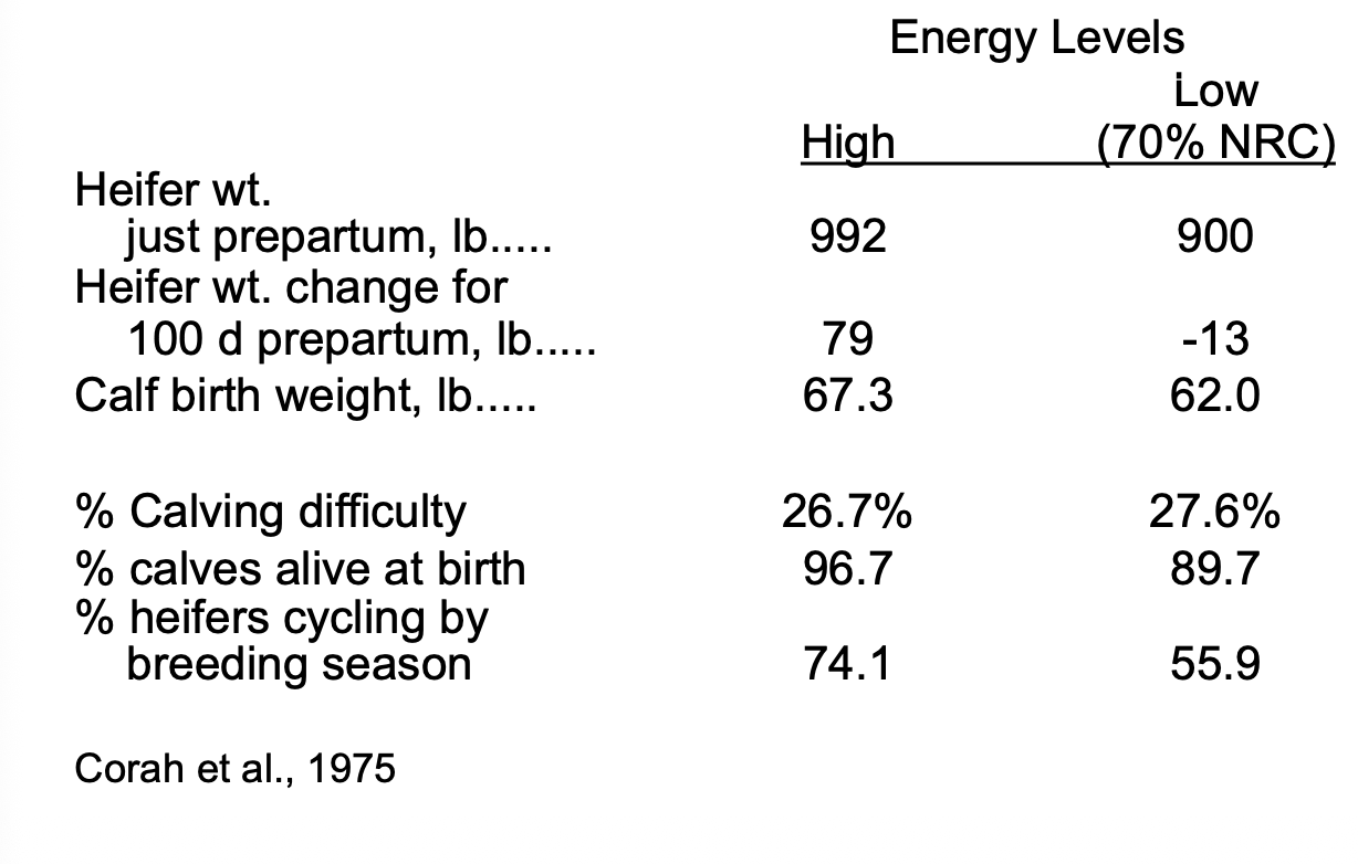 <p>low energy = great decrease in heifer wt change prepartum (100 d)</p><p>decrease in heifers cycling by breeding season and slight decrease in calves alive at birth </p>