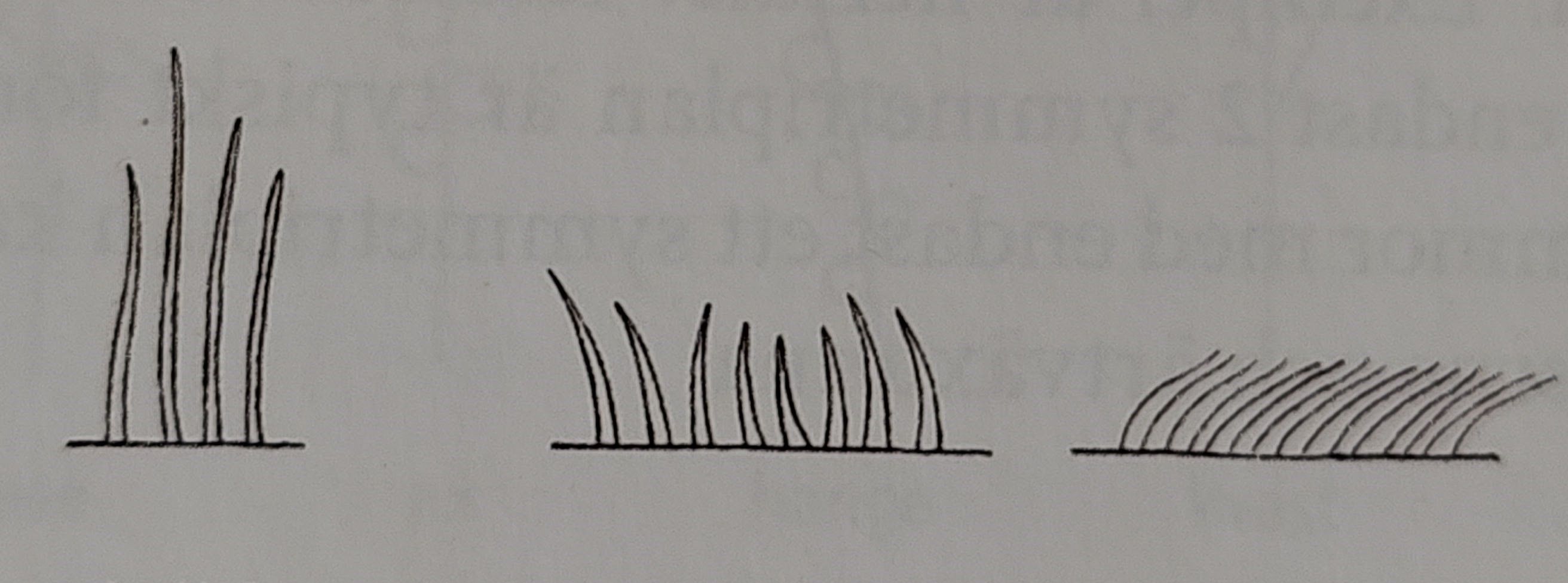 <p></p>