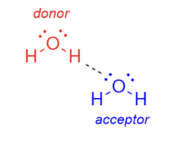 <p>highly electronegative atoms: O, N, Halogen</p><p>- causes hydrogen to become relatively (+) charged</p><p>LP of e-</p><p>- high density of (-) charge that's attracted to (+) species</p>