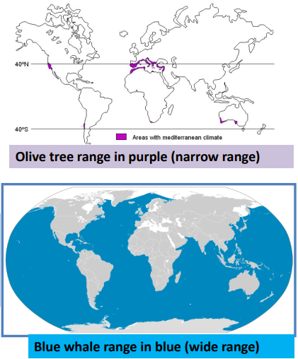<p>The range of a species </p>