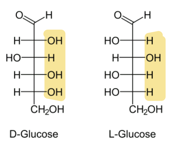 <p>Difference is positioning of the 3 hydroxyl groups &amp; 1 hydrogen group</p><p>D-glucose </p><ul><li><p>RIGHT </p></li></ul><p>L-glucose</p><ul><li><p>LEFT</p></li></ul><p></p>