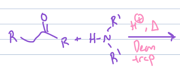 <p>Ketone + secondary amine</p>