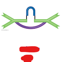 <p>Which antibody class is this?</p>