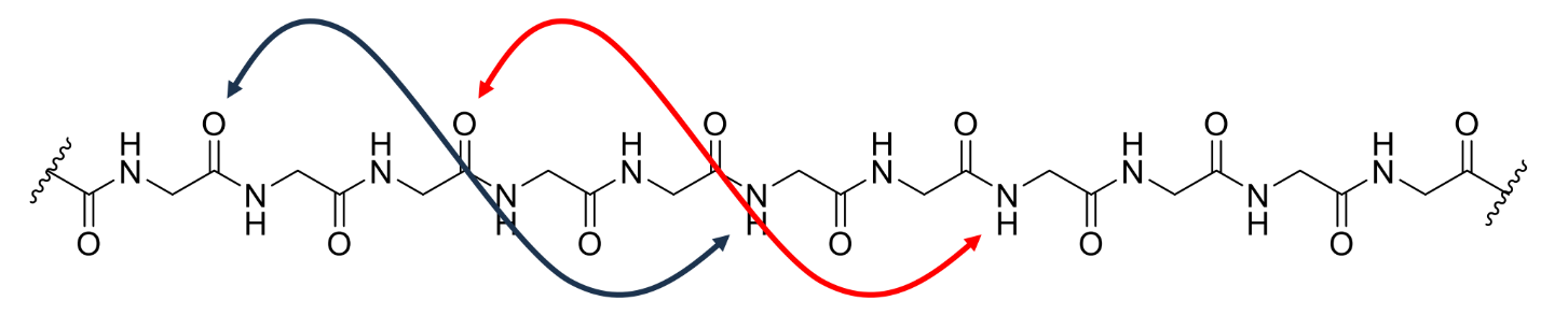 <p>a coil of amino acids with hydrogen bonds between every third or fourth residue</p>