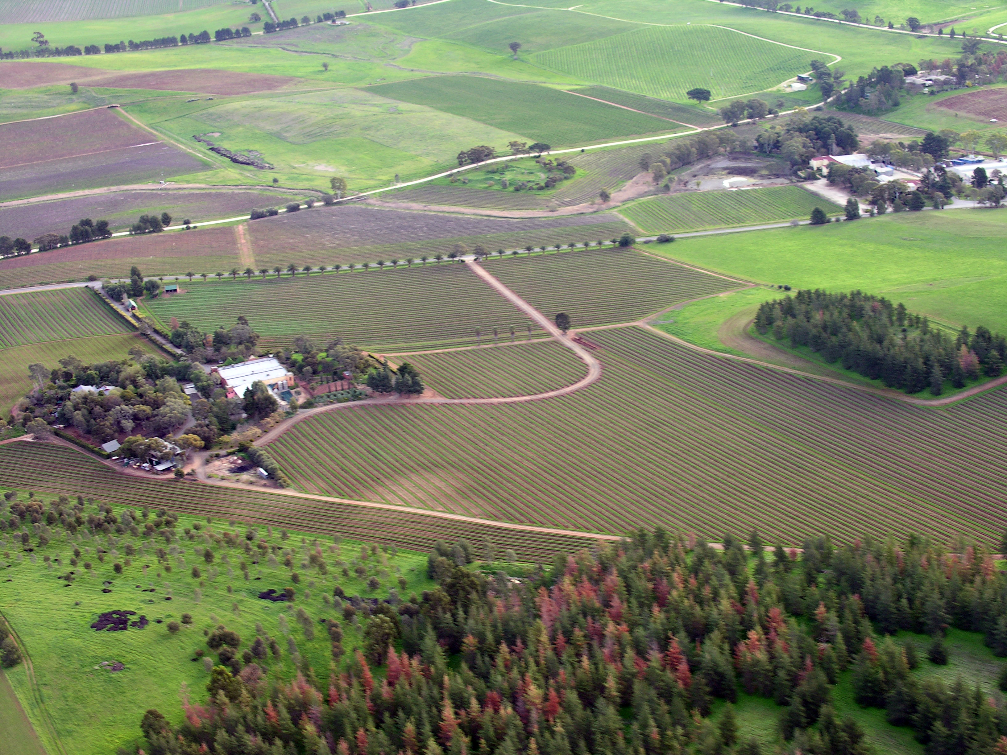 <p>روستایی</p>