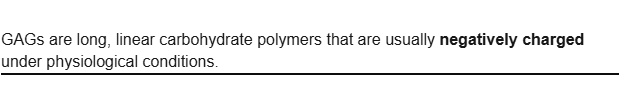 <p>long linear carbohydrate polymers</p>