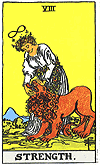 <p>Strength & Power</p>