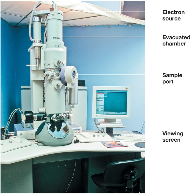 <ul><li><p><em>use of electrons instead of visible light to image cells and structures </em></p></li><li><p><em>electromagnets functioning as lenses</em></p></li><li><p><em>operation in vaccum </em></p></li><li><p><em>types: transmission/scanning electron microscope</em></p></li></ul><p></p>