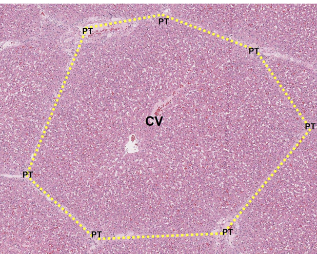 <p>what is this </p>