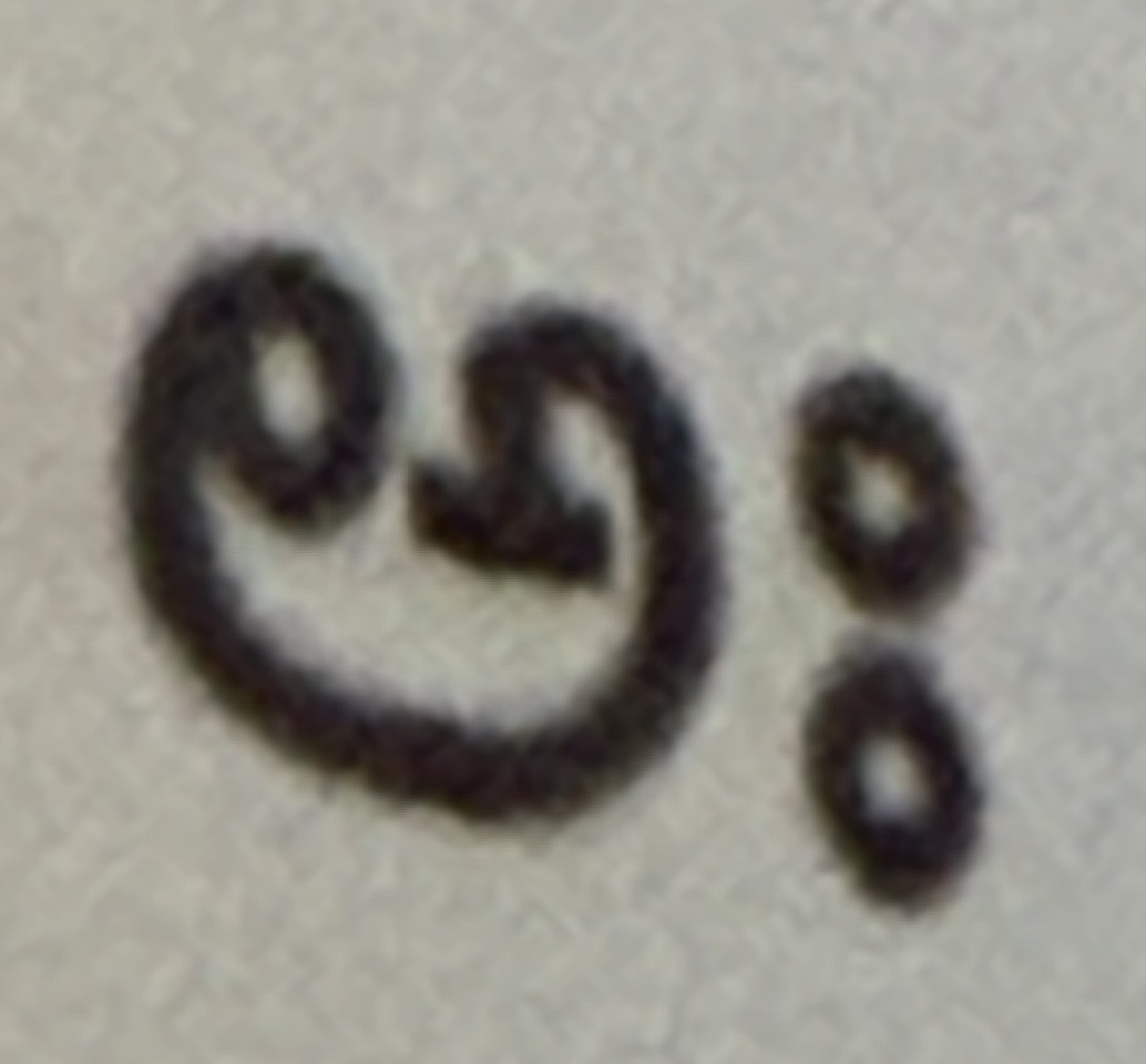 term image