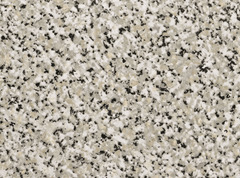 <p>light- colored igneous rock with large (visible) crystals</p>