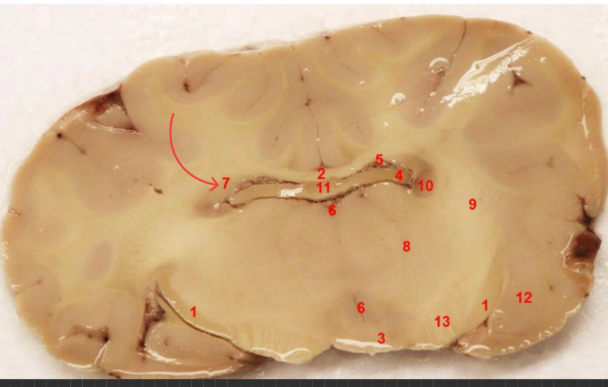 <p>what area is this </p>