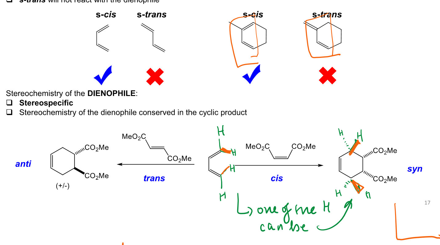 <p>both products allowed, the reacting just has to be a cis diene.</p><p>dienophile likely to be alkene because its electron poor and will be the LUMO of reacting pair substituents</p>