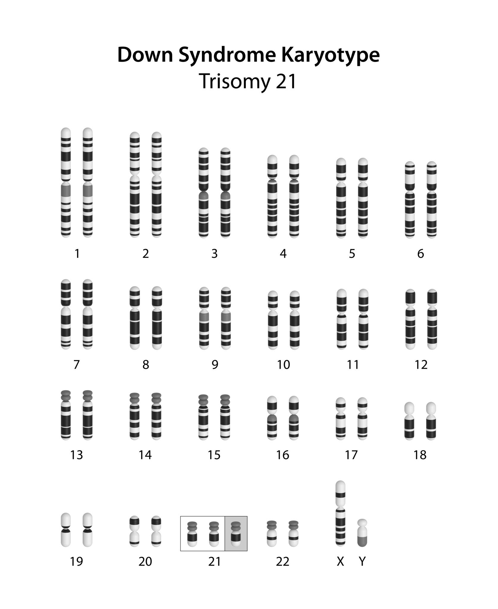 <p>An experimental technique that uses genes to treat or prevent disease by inserting a functional gene into a patient’s cells to replace a missing or malfunctioning one.</p>