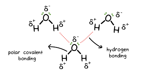 <p>An electrostatic attraction between a partially positive hydrogen and a partially negative atom.</p>