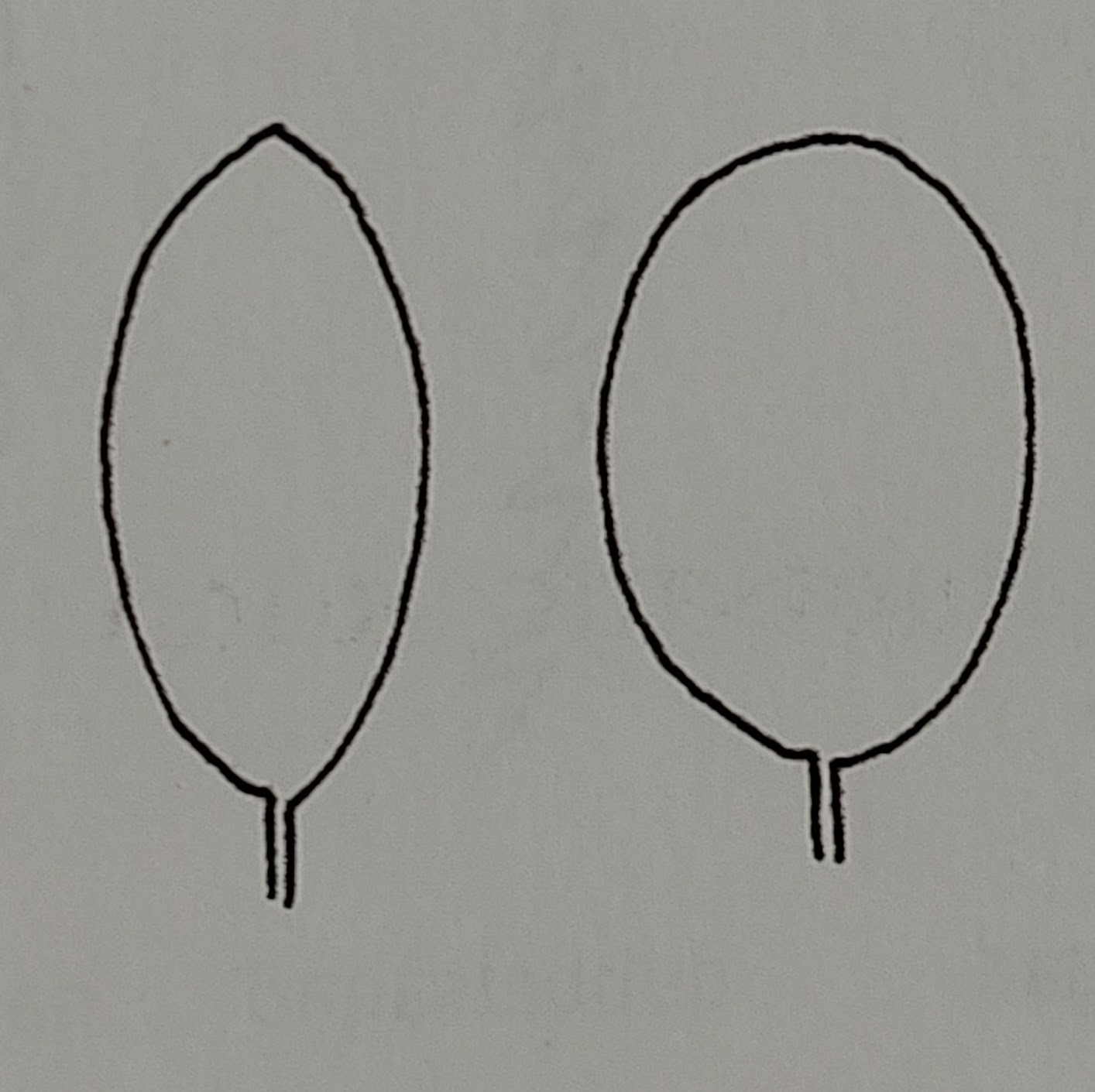 <p></p>