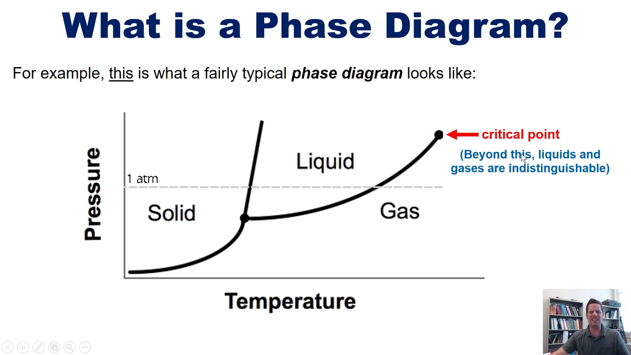 <p>where the two phases coexist </p>