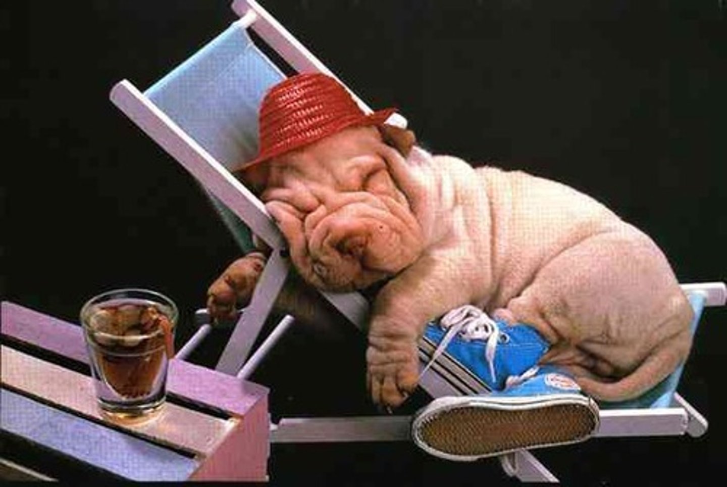 <p><strong>розслаблений, спокійний</strong></p><p></p><p>I feel r___ on weekends.</p><p>He looks r___ after his vacation.</p><p>She is r___ when she listens to music.</p>