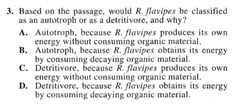 <p>Organisms that feed on dead organic matter.</p>