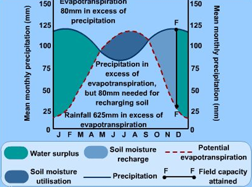 <p>soil water budget shows the balance between inputs and outputs in the water cycle and their impact on <strong>soil storage / availability </strong></p><ol><li><p>the water budget is dependant on type, depth and permeability of the soil and bedrock</p></li></ol><p></p>