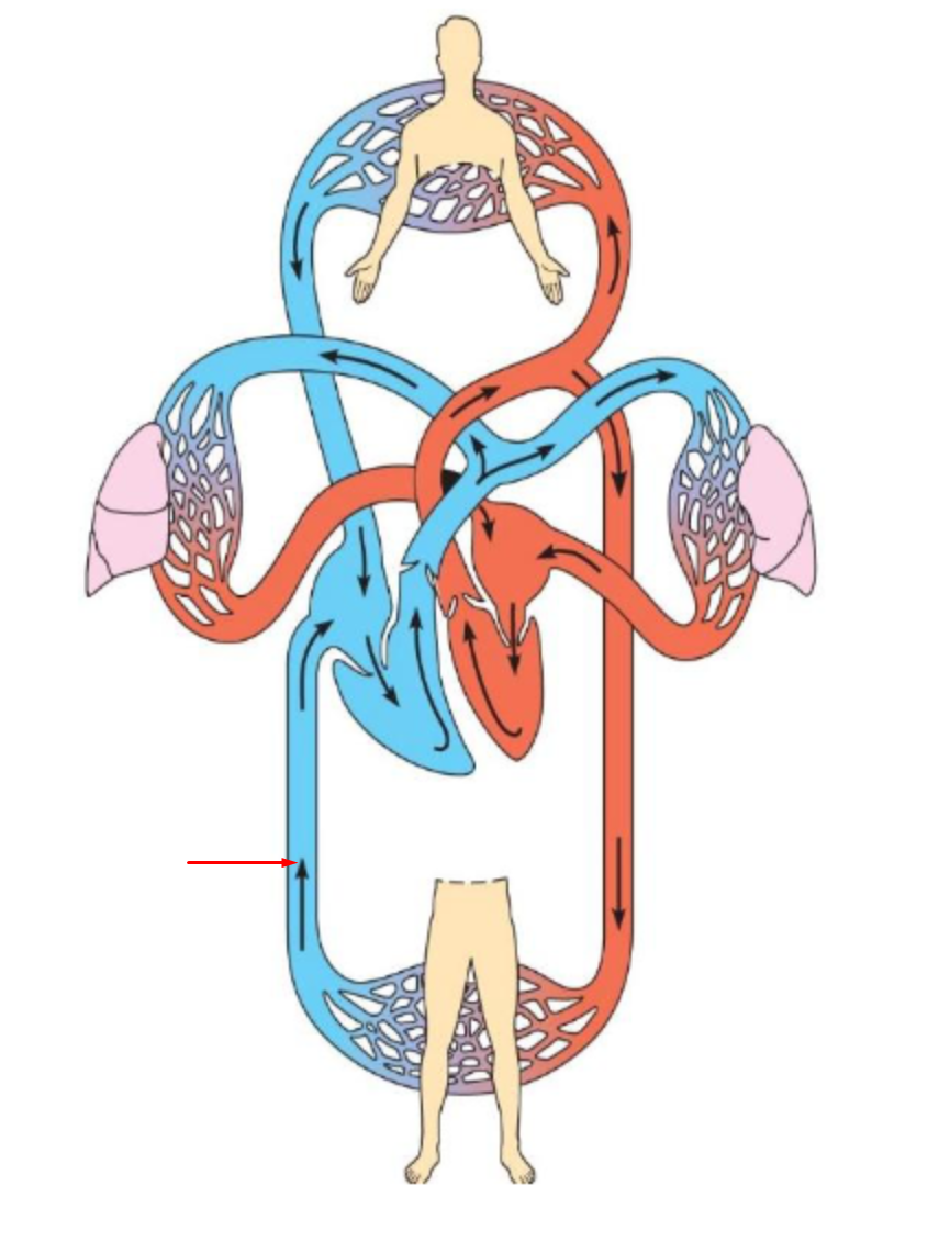 <p>identify and define</p>