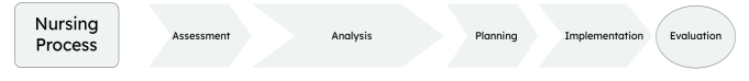 <ul><li><p>what meds are prescribed</p></li><li><p>med purpose (why are they taking it?)</p></li><li><p>appropriate dosages and routes</p></li><li><p>therapeutic and adverse effects</p></li><li><p>assessment and monitoring requirements</p></li><li><p>patient education needs</p></li><li><p>if the patient is appropriate for this patient at this time</p></li></ul><p></p>