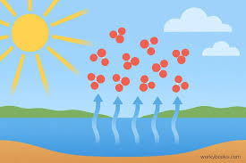 <p> heat loss when water vaporizes (very effective cooling)</p>