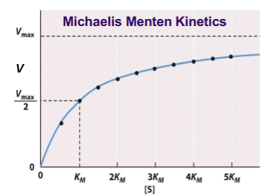 <p>Can be found on graphs at Vmax/2. </p>