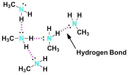 <ul><li><p>hydrogen bonding</p></li></ul><p></p>