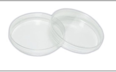 <p>Petri Dish</p>