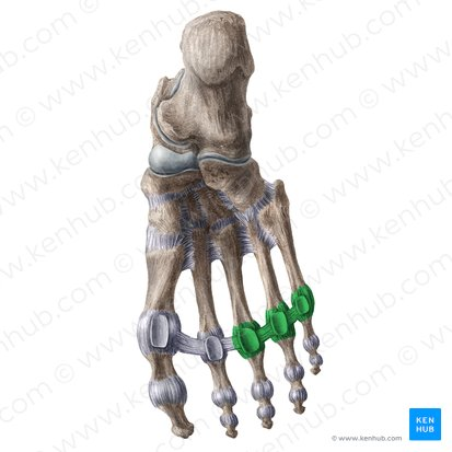 <p>What joint is this?</p>